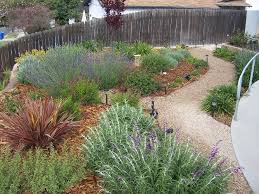 Right from the look to even the feel and texture. The 2 Minute Gardener Photo Decomposed Granite Pathway Dg Front Yard Landscaping Backyard Landscaping Decomposed Granite Pathway