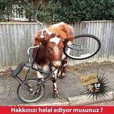 Bu Bayramda Boyle Olsun Sosyalokuz Okuz Komik Cok Cokkomik Resim Resimler Eglence Eglenceli Mizah Gulumse Gul Kahk Komik Resimler Cok Komik