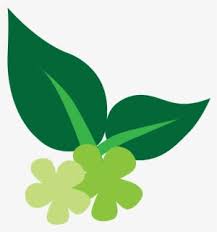 Key Natural Ingredients All Natural Ingredients Logo Png Free Transparent Clipart Clipartkey