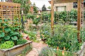 Raised Bed Vegetable Garden Vertical Vegetable Gardens Garden Layout Vegetable Summer Vegetables Garden