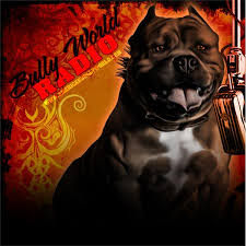 See more of american bully radio show on facebook. Bully World Radio Online Radio Blogtalkradio