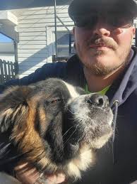 This is our Chief. Chief has been with us since we moved into our home five  years ago. He will be 6