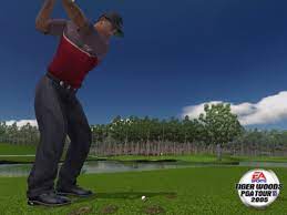 Amazon Com Tiger Woods Pga Tour 2005 Nintendo Ds Artist Not Provided Video Games