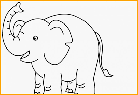 Umur gajah biasanya mencapai 70 tahun. 6969 Sketsa Gambar Hewan Terbaik Paling Unik Menarik Sindunesia