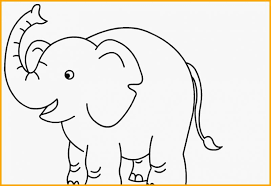 Gambar gambar gajah sketsa paling baru download now sketsa gambar. 6969 Sketsa Gambar Hewan Terbaik Paling Unik Menarik Sindunesia