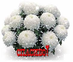 Image result for       
