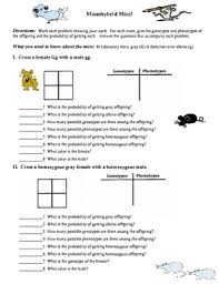 The monohybrid cross problems 2 worksheets has worked for my students. Monohybrid Crosses Worksheet Answers Nidecmege