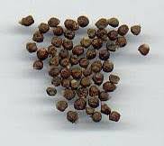Image result for Aframomum mala