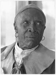 Historical Account of Traditional Remedies and Slave Experiences in the  Southern United States