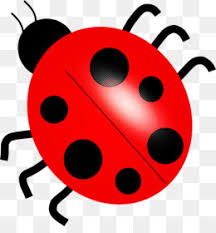 Ladybug Todos esses recursos moldura redonda são para download gratuito no a pngtree oferece mais de moldura redonda imagens png e vetoriais, assim como imagens de clipart transparentes e arquivos psd. subpng