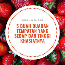 Tingkatkan pengeluaran buah buahan tempatan dengan teknologi. 5 Pilihan Buah Buahan Tempatan Yang Sedap Dan Tinggi Khasiatnya