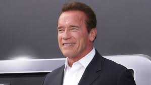 Cannes: Arnold Schwarzenegger Joins Comedy 'Why We're Killing Gunther'