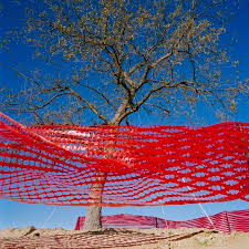 Robert Harding Pittman