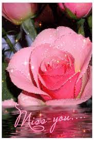 We did not find results for: Pin On Gifs