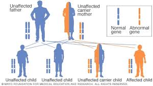 An example of an autosomal recessive condition is cystic it is caused by a faulty recessive allele on chromosome 7. Slide Show How Genetic Disorders Are Inherited Mayo Clinic