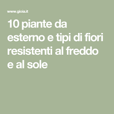 Quali sono le piante da esterno che non temono l'inverno e di quali cure hanno bisogno per resistere al freddo? 10 Piante Da Esterno Che Non Temono Freddo E Sole Piante Da Esterni Piante Aiuole Giardino Fai Da Te