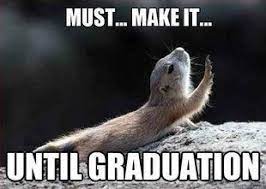 Pin On Graduation Season