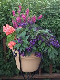 Pin On Flower Planters