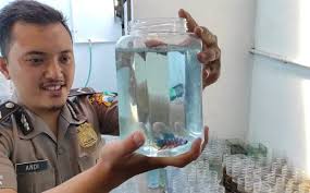 Indukan cupang jantan diambil dari tempat pemijahan pada saat, penjualcupang.com | telur ikan cupang kalian udah pada netas, kalian lihat nggak bagaimana mereka berenang naik turun bahkan sesekali berenang kayak keracunan. Bisnis Ikan Cupang Polisi Ini Raup Untung Rp5 10 Juta Per Bulan Radar Pekalongan Online
