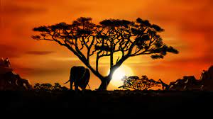 We did not find results for: African Landscape By Dasflon On Deviantart