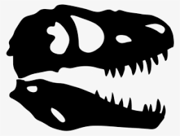 Free for commercial use high quality images Dinosaur Skull X Ray T Rex Skull Vector Transparent Png 1110x1110 Free Download On Nicepng