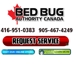 Mice, rats, spiders, insects, ants & fleas removal & control services at very reasonable price. Hamilton Bed Bug Heat Treatment Bed Bug Removal Hamilton On