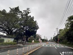 名站推薦 tips：2021年6月24日 已更新失效連結 total 13 ». 20200314æ¡ƒ68ç·š å…¨ç·šè¨˜éŒ„ é™„è·¯ç·šåœ– èˆªè·¡åœ– Gpx æ¡ƒåœ'é¾æ½­ èŒèŠ½æ‚ éŠç¶² èŒèŠ½ç¶²é 