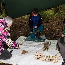 Lanarkshire forest school branches out with woodland showcase to promote  mental benefits of outdoor play