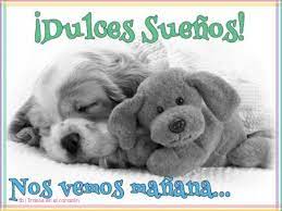 Dulces Suenos Nos Vemos Manana Trazosenelcorazon Sleeping Animals Funny Sleeping Animals Sleeping Puppies