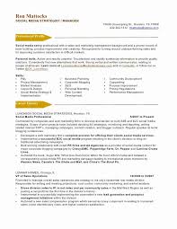 Digital Marketing Resume Sample Inspirational Sample Resume Media Marketing Resume Examples By Real In 2020 Marketing Resume Resume Infographic Resume