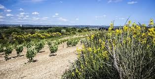 Jardiner Sur Un Sol Calcaire Comment Faire 360m2 Fr