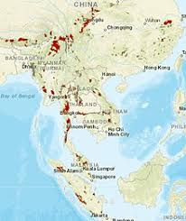 It prefers forest habitats interspersed with rocky areas, and is found in deciduous, subtropical evergreen, and tropical rainforests. Asian Golden Cat Wikipedia