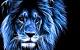 Home Screen Lion 3d Wallpaper