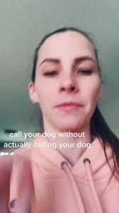 Calling A German Shepherd