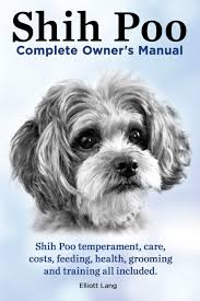 Shih poos love to play, and they spend much time with the family members, chasing toys, or with toys. Shih Poo Shihpoo Complete Owner S Manual Shih Poo Temperament Care Costs Feeding Health Grooming And Training All Included Lang Elliott 9781909151277 Amazon Com Books