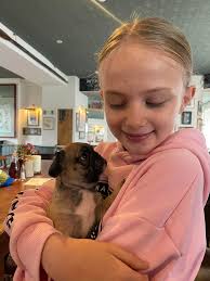 Hey frug owners, but if strange question but has anyone took their dog to  vets to have their anal glads expressed and is this necessary