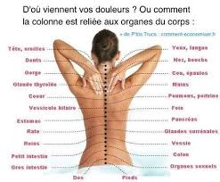 Voici La Vraie Cause De Vos Douleurs Comment La Colonne Est Reliee A Tous Les Sante Beaute Sante Conseil Sante
