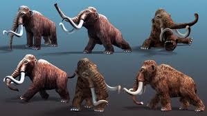Pin By Noubuez On Art In 2020 Cartoon Animals Animals Mammoth