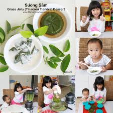 To make suong sam or green jelly, leaves of suong sam plant are washed until clean, then let dry naturally, then ground in a blender with a proper amount of water until all becomes a green concoction. SÆ°Æ¡ng Sam Grass Jelly Dessert Recipe Mama Snow Cooks And More