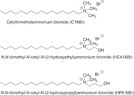 Lorenzo e lorival baixar / cds para baixar baixar cd lourenco e lourival 30 grandes sucessos. Scielo Brasil Gold Nanorods Capped With Different Ammonium Bromide Salts On The Catalytic Chemical Reduction Of P Nitrophenol Gold Nanorods Capped With Different Ammonium Bromide Salts On The Catalytic Chemical Reduction