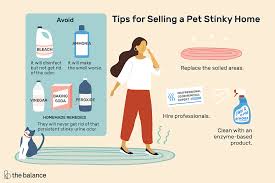 get rid of dog and cat urine odors