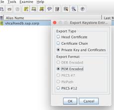 Taming Your Sap Hana Express Se01e02 Hardening An Sap Hana Express 2 0 Sp03 Installation Part 2 Securing The Sap Hana Extended Application Services Certificate Authority Sap Hana