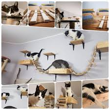 Our email has changed for now. Free Shipment Promotion Cat Cat Lover Gift Cat Bed Cat Furniture Cat Gift Cat Decor Cat Shelf Cat Beds Cat Pillow Cat Shelves Pet Cat Shelves Cat Furniture Modern Cat Furniture