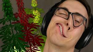 MattShea's BOMBEST, DANKEST SHOP - Best Weed Games