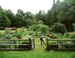 I D Love To Do A Huge Garden Like This With The Whole Family Love The Fence And How Neat And Tidy It Looks Landschaftsbau Ideen Landgarten Garten