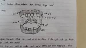 Dentasol dikenal sebagai obat gigi berlubang yang obat sakit gigi untuk anak yang cukup aman dikonsumsi. 20 Ide Gambar Sketsa Manusia Sakit Gigi Tea And Lead