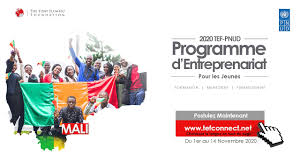 Comment Postuler Au Programme Tef Pnud Mali Tefxundpmali Youtube