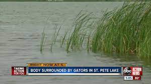 Lake maggiore is the second largest lake in italy. Police Body Of 16 Year Old Found With Alligator Involvement In St Peterburg S Lake Maggiore