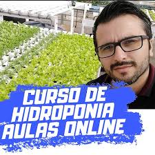 hidrocultura