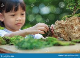 1,526 Leave Plant Root Stock Photos
